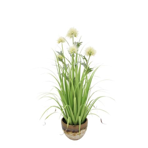 Grass flor de cardo 79 cm-0
