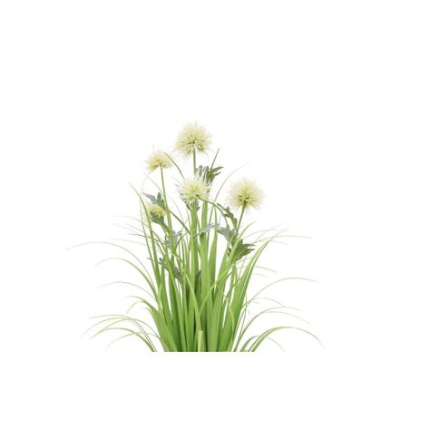 Grass flor de cardo 79 cm-1