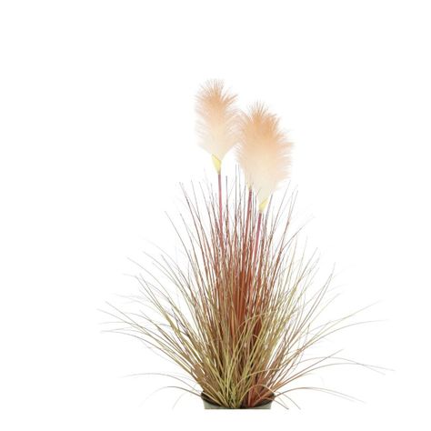 Grass con pluma blanca 142 cm-1