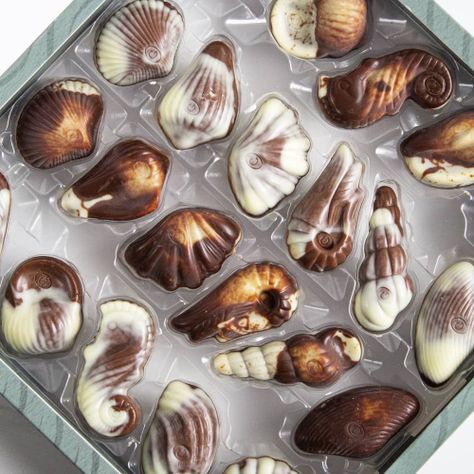 Bombones de Chocolate Belga Sea Shell Guylian 250 grs-2