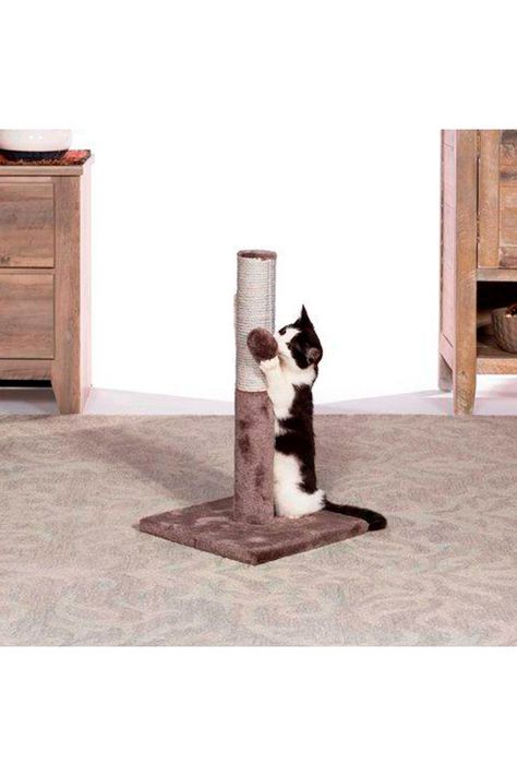 Rascador Gato Tubo PREVUE-1