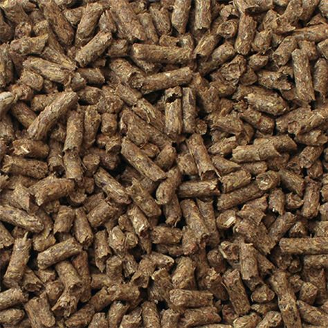 Mazuri Alimento Conejo Timothy 2,5 Kg-2