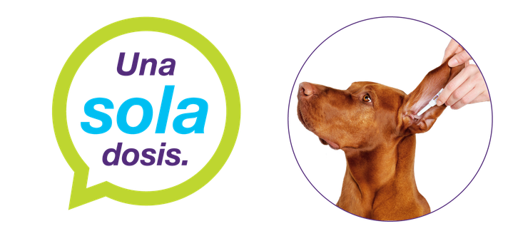 Neptra Solución Ótica-2