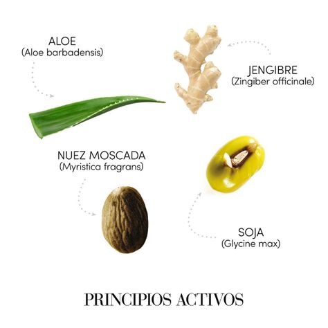 Shampoo Seboequilibrante 250ml Medavita-2
