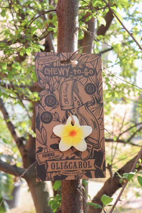 Mordedor Flor de Hawaii-6