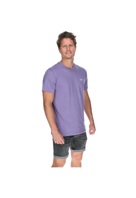 Polera M/C Hombre Stacked Arch Ss Morado-3