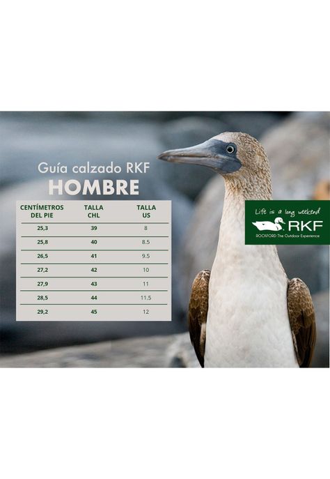 Botín Cuero Hombre Molik Gris-2