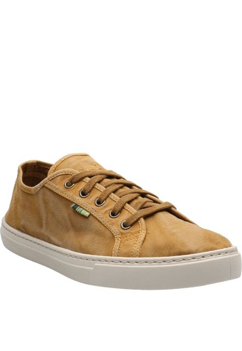 Zapatilla Hombre Bronte Café Claro-1