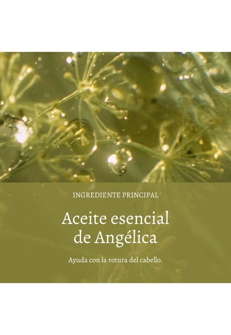 Máscara Capilar Reparadora Aromacología 200 ml-1