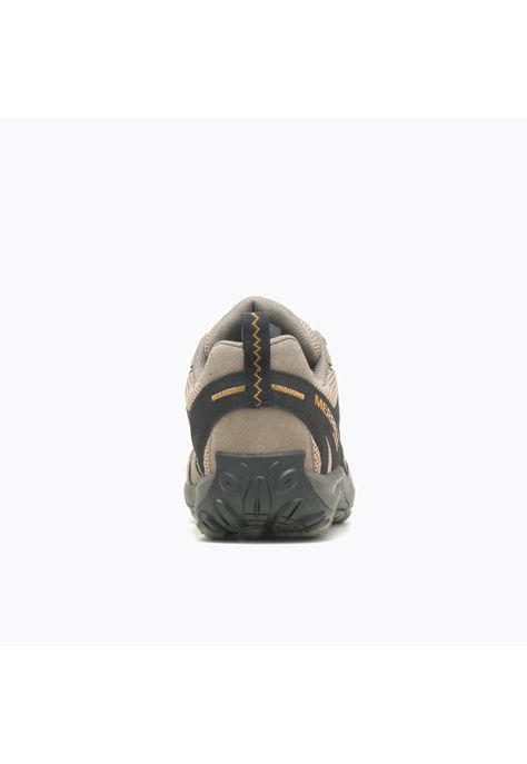 Zapatilla impermeable Hombre Accentor 3 WP Café-4