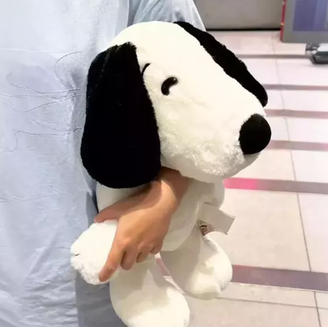 Peluche Snoopy 40cm Blanco Peluche Grande Regalo-1