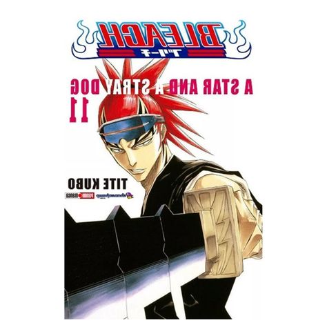 Bleach N°11: A Star And a Stray Dog-1