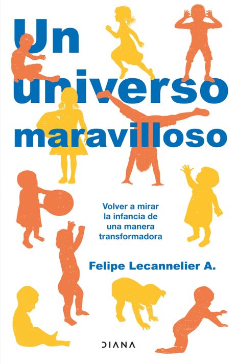 Libro Un Universo Maravilloso - Felipe Lecanelier-0