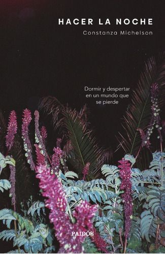 Libro Hacer La Noche - Constanza Michelson-0