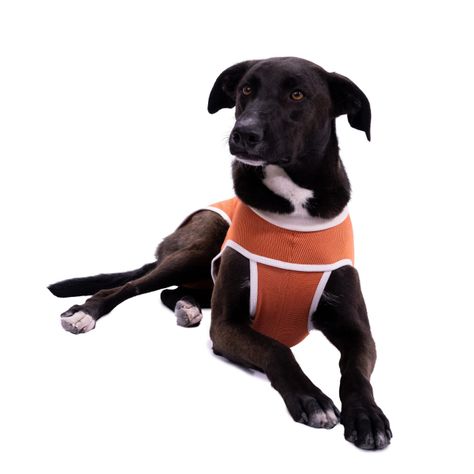 Body Cobre Kimba Tradicional - Talla 1-1
