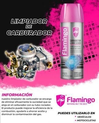 Limpia Carburador 450ml Flamingochile-1
