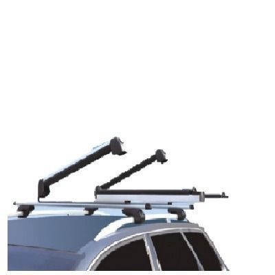 Porta Sky Extendible Aluminio 125 cms (Diseño Thule)-0