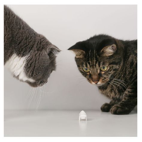 Pidan - Juguete para Gatos Electrónico Pequeño Monstruo de Nieve-5