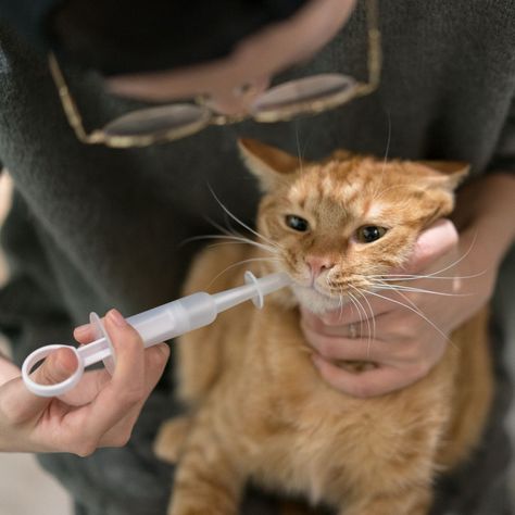JERINGA DE MEDICACIÓN ORAL PARA MASCOTAS PIDAN®-2