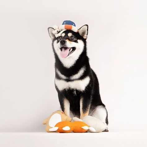 PIDAN® PET PLUSH TOY - SQUEAKER MONSTER – FATRICK - ESTRELLA DE MAR-2