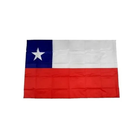 Bandera De Chile Seda 120cm X 180cm Patrias-0