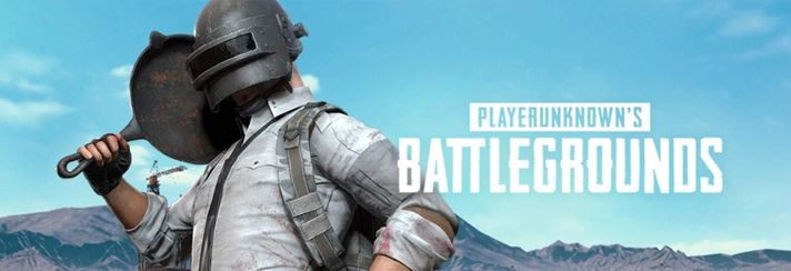 Playerunknowns Battlegrounds Pubg PS4 Juego Fisico-1