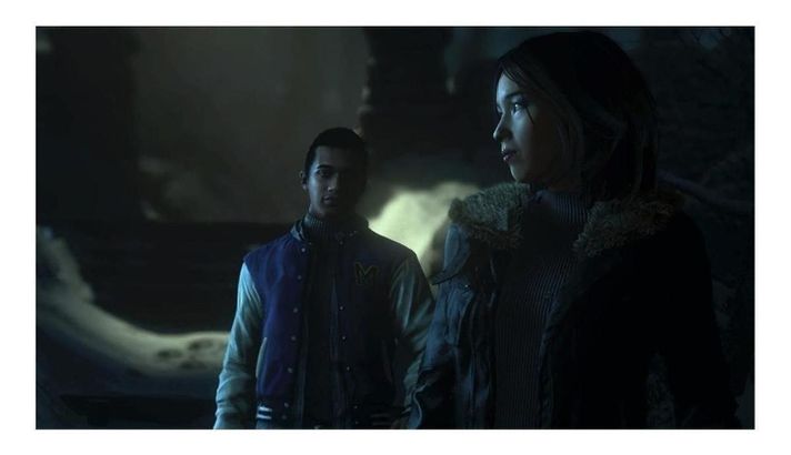 Until Dawn Español PS4 Físico-2