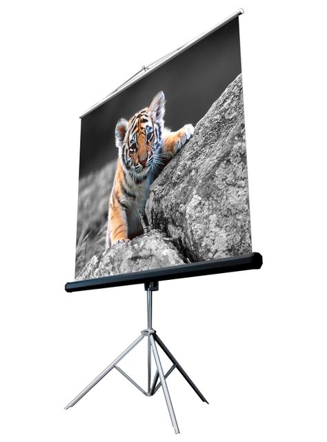 TELON CON TRIPODE  213X213cm , MECANISMO RETRACTIL-1