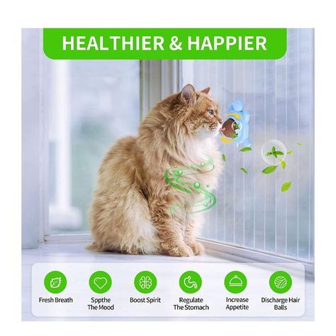 X4 Bola Hierba Gatera Catnip Snack Para Gatos Bola-3