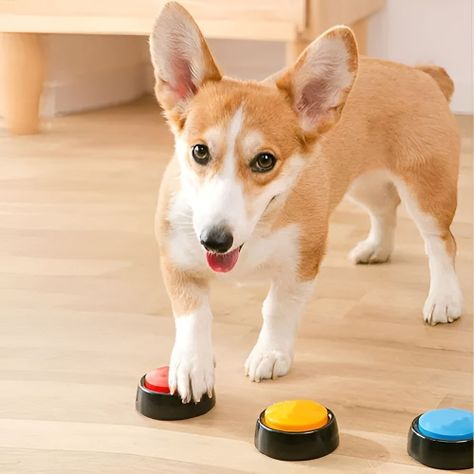 Boton Entrenamiento Botón De Grabación De Voz Perro Mascota-6