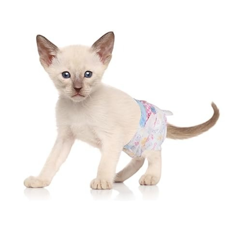 X10 Pañales Para Perros Pañales Para Gato XS-3