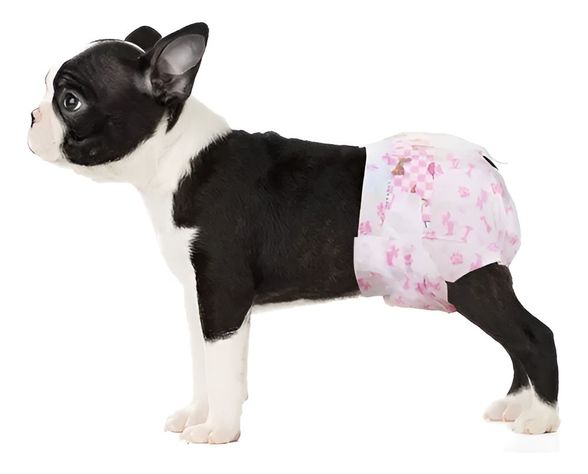 X10 Pañales Para Perros Pañales Para Gato XS-7
