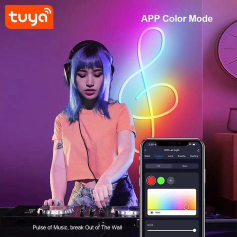 Cinta Neón Led Flexible Wifi y Bluetooth RGB 5mts 24W IP67 Compatible con Alexa y Google-2