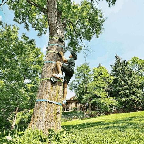 Trepadores Para Arbol Slackers Tree Climbers-6
