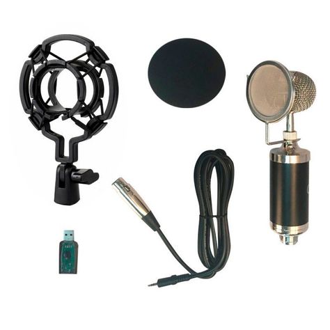 Microfono Audiolab Condensador Home Studio Fx-2