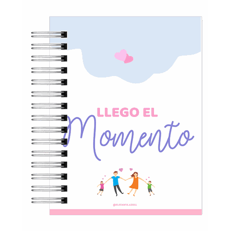 Diario de Embarazo-11