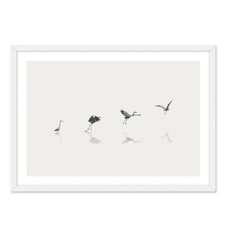 Cuadro Individual  Aves En La Playa-0