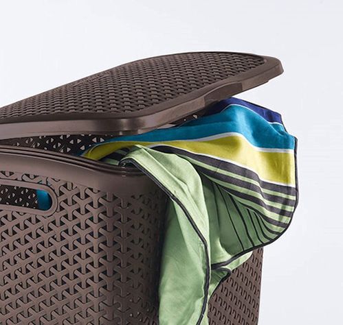 Cesto Canasto Para Ropa Bali 55 Litros Con Tapa-3