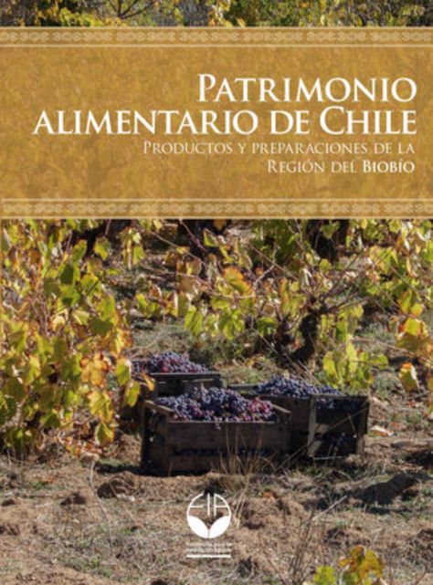 PATRIMONIO ALIMENTARIO CHILE - REGION DEL BIOBIO-0