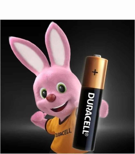 Pila duracell AA-2