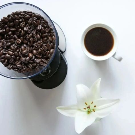 Molinillo de café Oster® con 18 ajustes-4