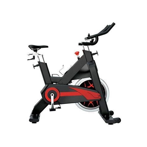 BICICLETA SPINNING ELITE RACING 1009H 22 KG WHEEL-0