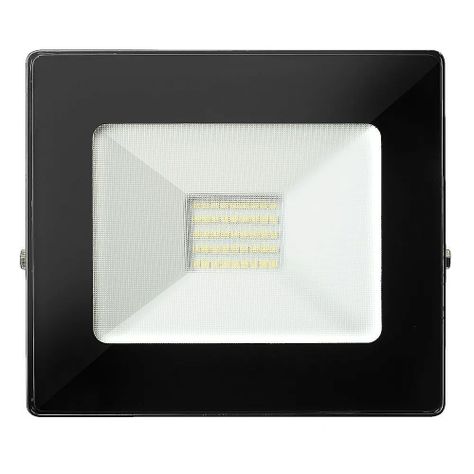 Foco Proyector LED Telco SEC 30W Frío-1