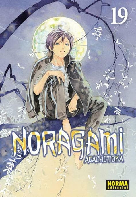 Manga Noragami 19 - España-0