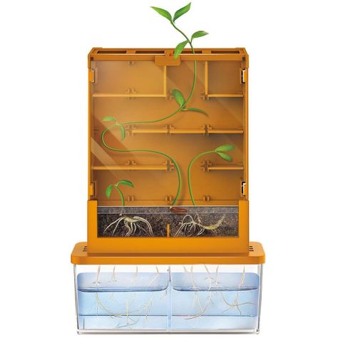 Ciencia Crece Planta-1