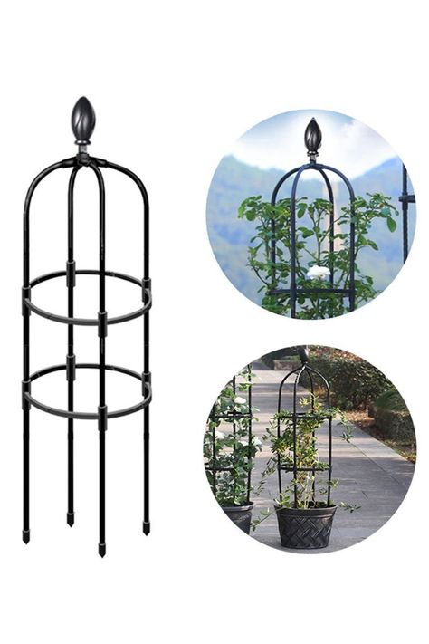 Soporte plantas rosales trepadoras enredaderas Obelisco	-1