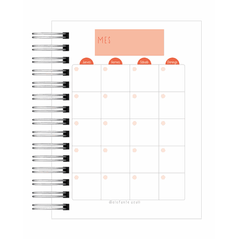 Agenda PDI-10