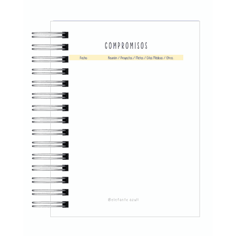 Agenda PDI-5