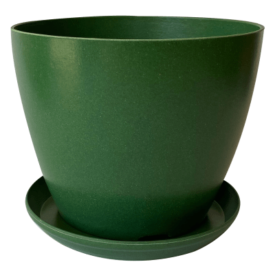 SET MACETA/PLATO BIO ACTUAL MUSGO 24X18-0