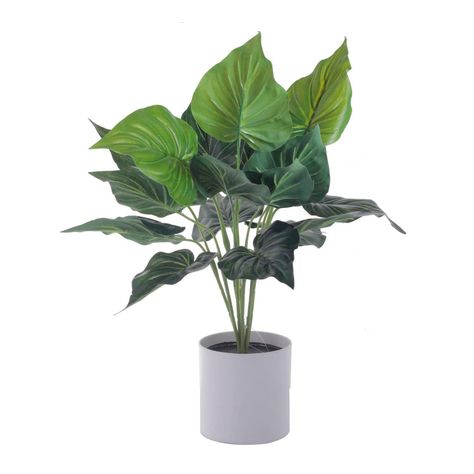 Planta Decorativa Artificial Alocasia Cucullata-0